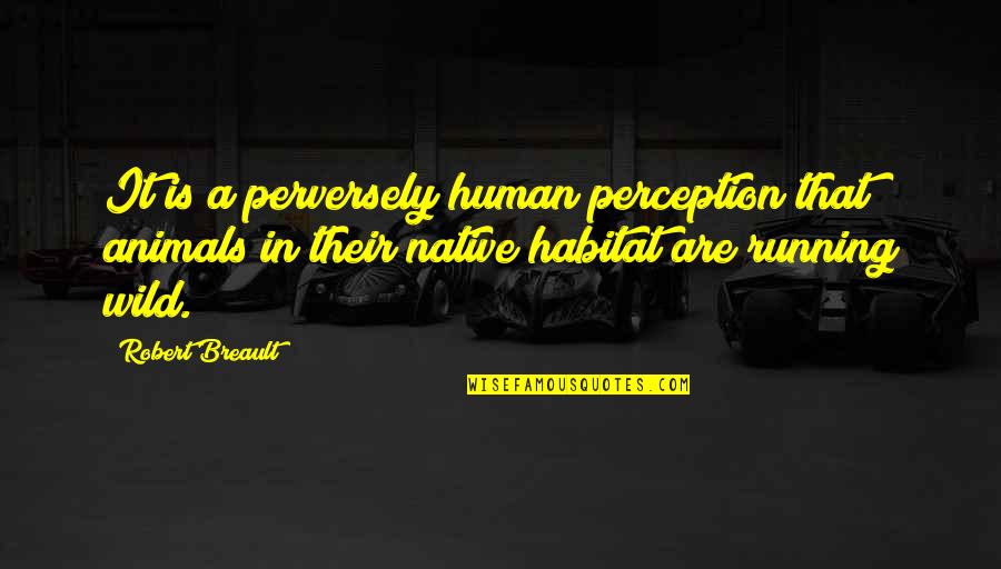 Gerisi Yalan Quotes By Robert Breault: It is a perversely human perception that animals Gerisi Yalan Quotes By Robert Breault: It is a perversely human perception that animals