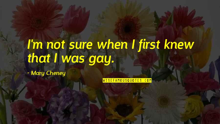 Geritol Liquid Quotes By Mary Cheney: I'm not sure when I first knew that