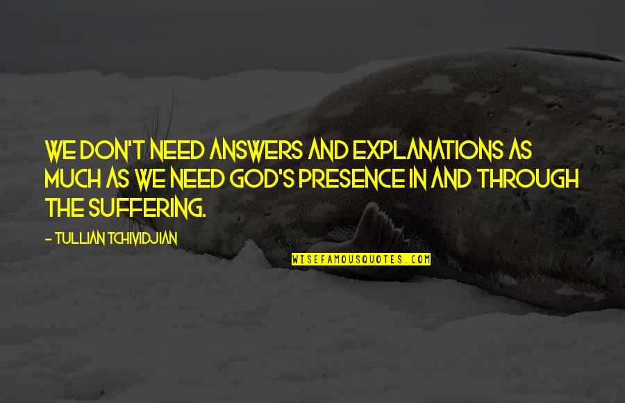 German Cars Quotes By Tullian Tchividjian: We don't need answers and explanations as much