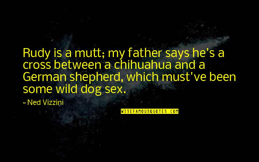 German Shepherd Dog Quotes By Ned Vizzini: Rudy is a mutt; my father says he's