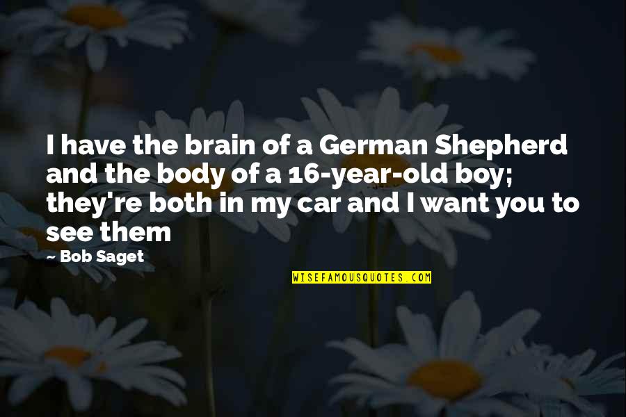 German Shepherd Quotes By Bob Saget: I have the brain of a German Shepherd