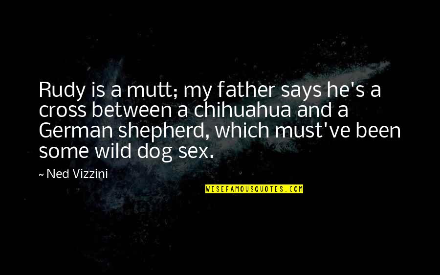 German Shepherd Quotes By Ned Vizzini: Rudy is a mutt; my father says he's