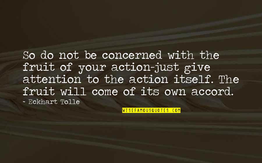 Geronimo Apache Quotes By Eckhart Tolle: So do not be concerned with the fruit