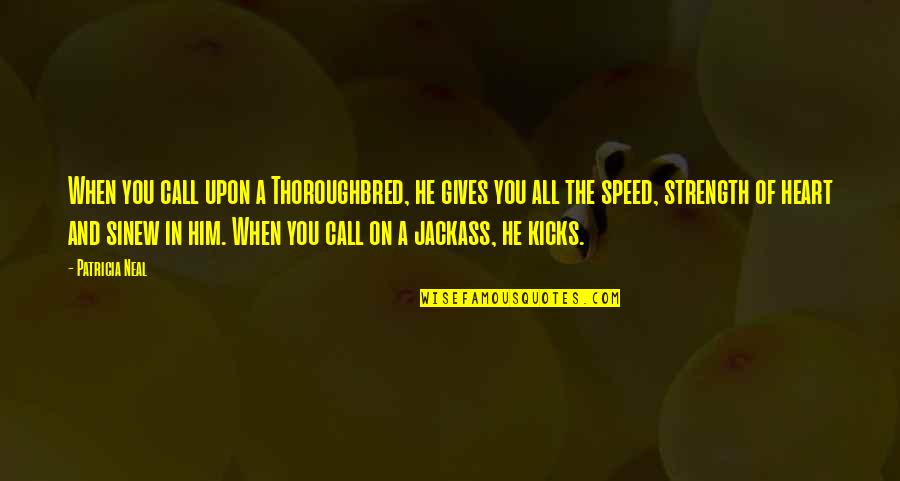 Geronimo's Quotes By Patricia Neal: When you call upon a Thoroughbred, he gives Geronimo's Quotes By Patricia Neal: When you call upon a Thoroughbred, he gives