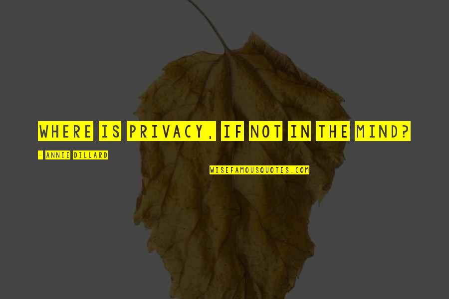 Gerry Hussey Quotes By Annie Dillard: Where is privacy, if not in the mind? Gerry Hussey Quotes By Annie Dillard: Where is privacy, if not in the mind?