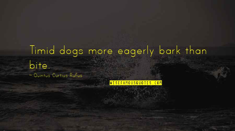 Gertjan Legemaat Quotes By Quintus Curtius Rufus: Timid dogs more eagerly bark than bite. Gertjan Legemaat Quotes By Quintus Curtius Rufus: Timid dogs more eagerly bark than bite.