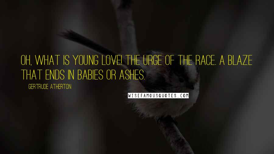 Gertrude Atherton quotes: Oh, what is young love! The urge of the race. A blaze that ends in babies or ashes.