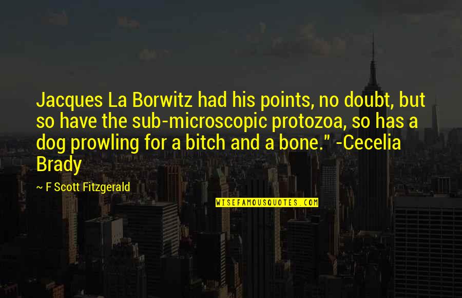 Gertrude Matshe Quotes By F Scott Fitzgerald: Jacques La Borwitz had his points, no doubt,