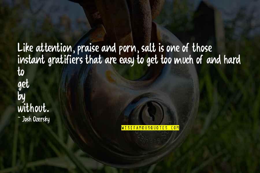 Gerzenys Rv World Quotes By Josh Ozersky: Like attention, praise and porn, salt is one Gerzenys Rv World Quotes By Josh Ozersky: Like attention, praise and porn, salt is one