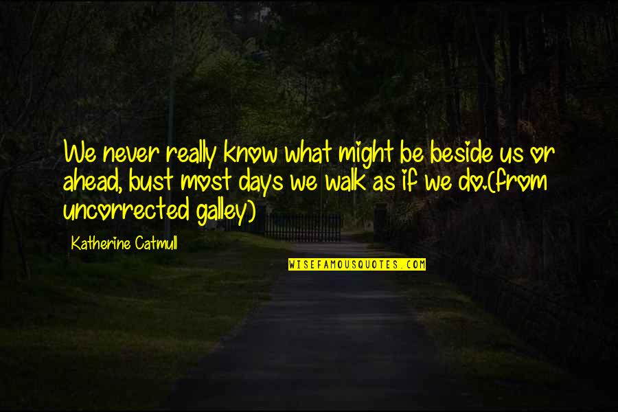 Gesamte Translation Quotes By Katherine Catmull: We never really know what might be beside Gesamte Translation Quotes By Katherine Catmull: We never really know what might be beside