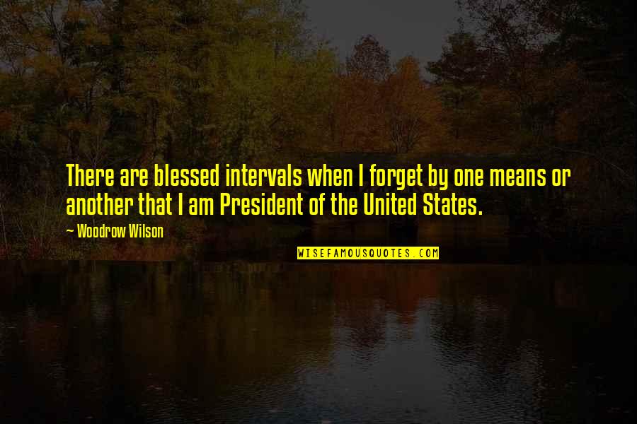 Geschwindigkeits Berschreitung Quotes By Woodrow Wilson: There are blessed intervals when I forget by