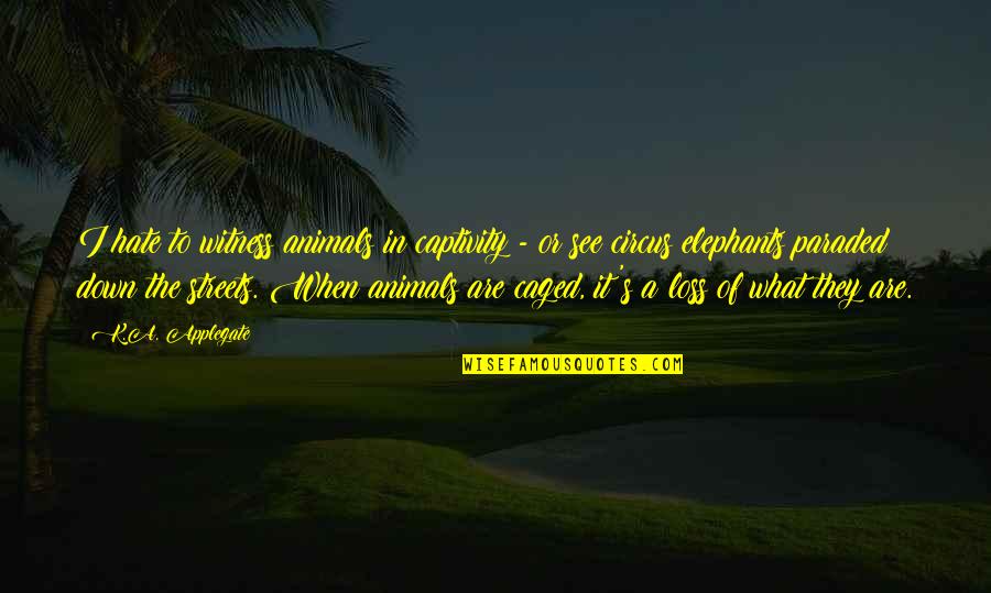 Geschwindigkeitsbegrenzung Quotes By K.A. Applegate: I hate to witness animals in captivity - Geschwindigkeitsbegrenzung Quotes By K.A. Applegate: I hate to witness animals in captivity -