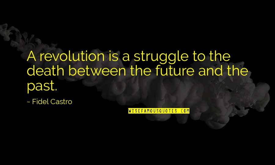 Gesell Test Quotes By Fidel Castro: A revolution is a struggle to the death
