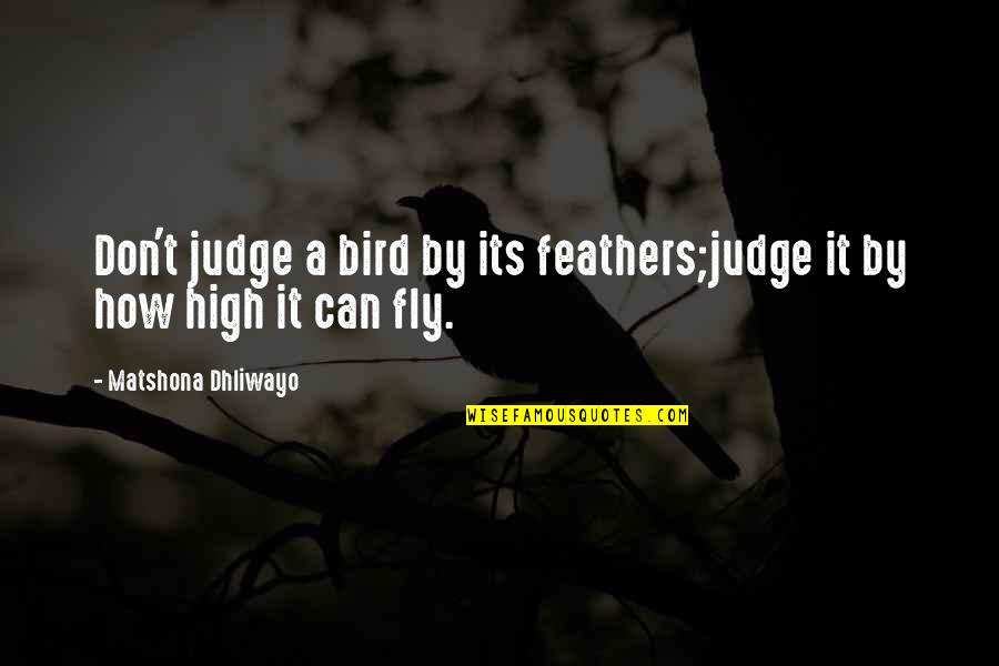 Gesenius Quotes By Matshona Dhliwayo: Don't judge a bird by its feathers;judge it
