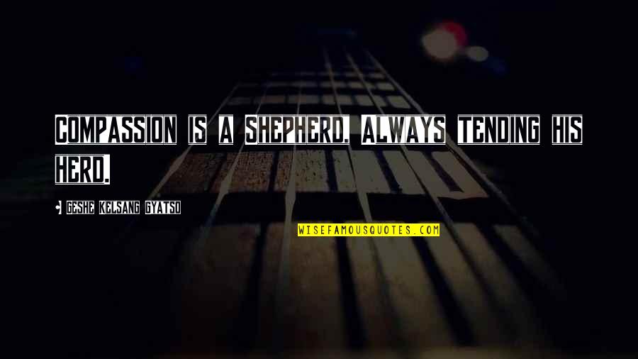 Geshe Kelsang Quotes By Geshe Kelsang Gyatso: Compassion is a Shepherd, Always tending his herd.