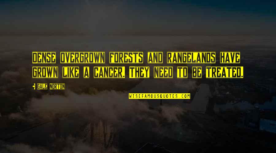 Gespenstertango Quotes By Gale Norton: Dense overgrown forests and rangelands have grown like Gespenstertango Quotes By Gale Norton: Dense overgrown forests and rangelands have grown like