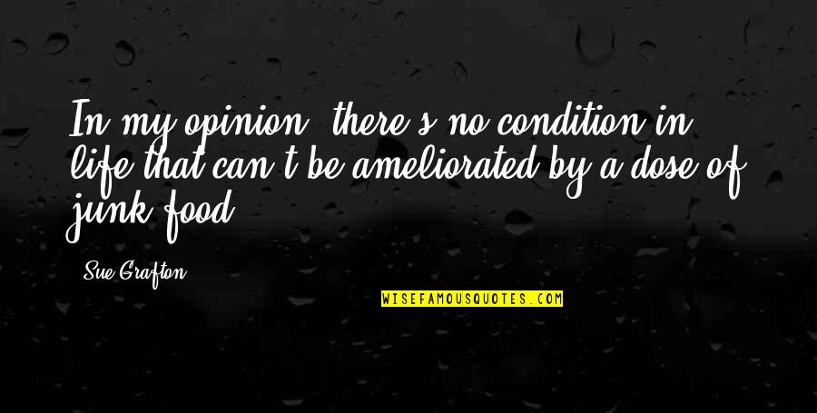 Gestalten Catalog Quotes By Sue Grafton: In my opinion, there's no condition in life