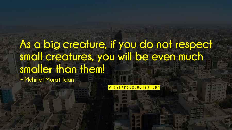 Gestelhof Quotes By Mehmet Murat Ildan: As a big creature, if you do not