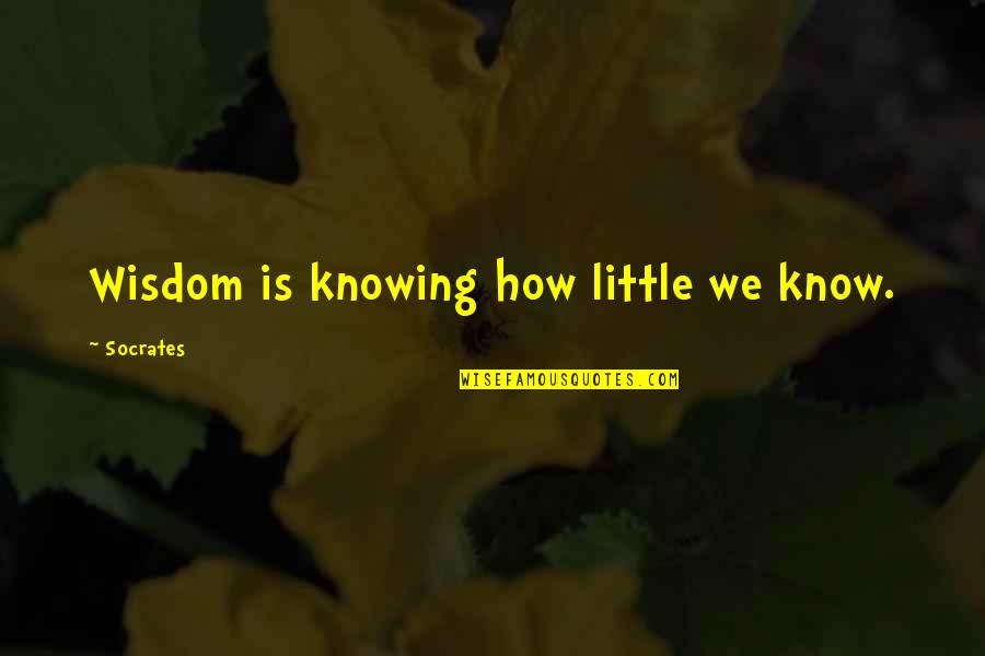 Gestrandeter Quotes By Socrates: Wisdom is knowing how little we know.
