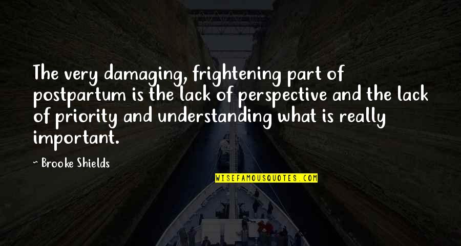 Gestreifte Quotes By Brooke Shields: The very damaging, frightening part of postpartum is