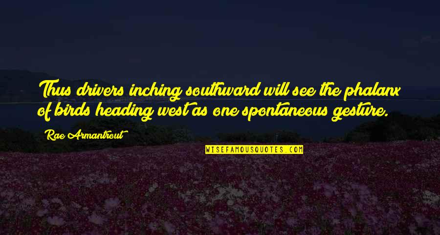 Gestures Quotes By Rae Armantrout: Thus drivers inching southward will see the phalanx