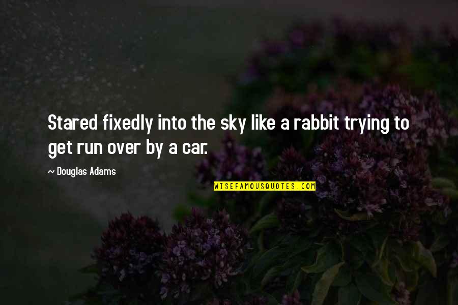 Get A Car Quotes By Douglas Adams: Stared fixedly into the sky like a rabbit