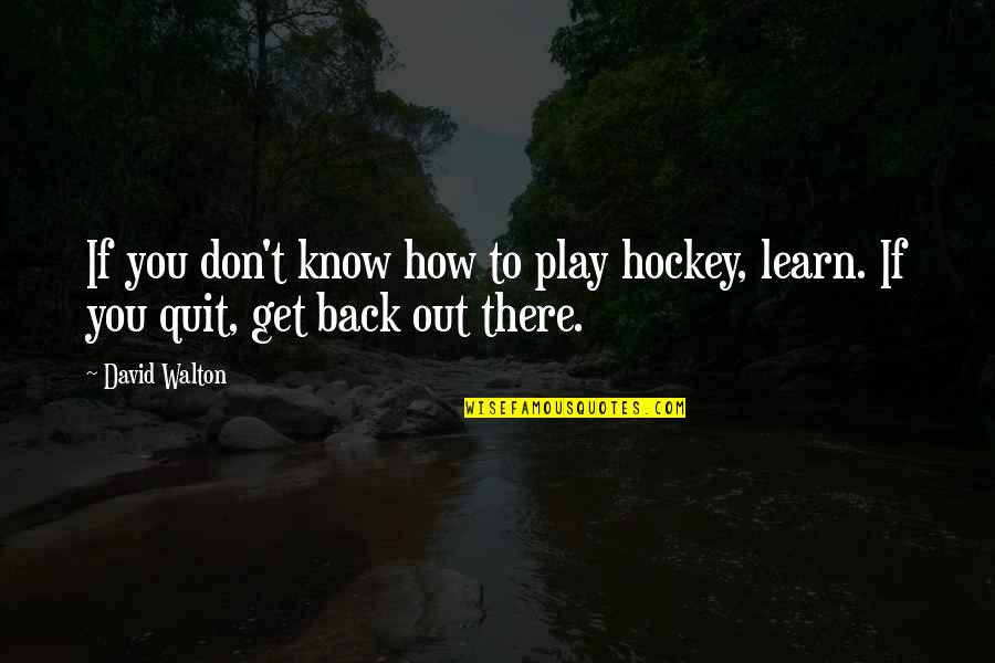 Get Back Out There Quotes By David Walton: If you don't know how to play hockey,