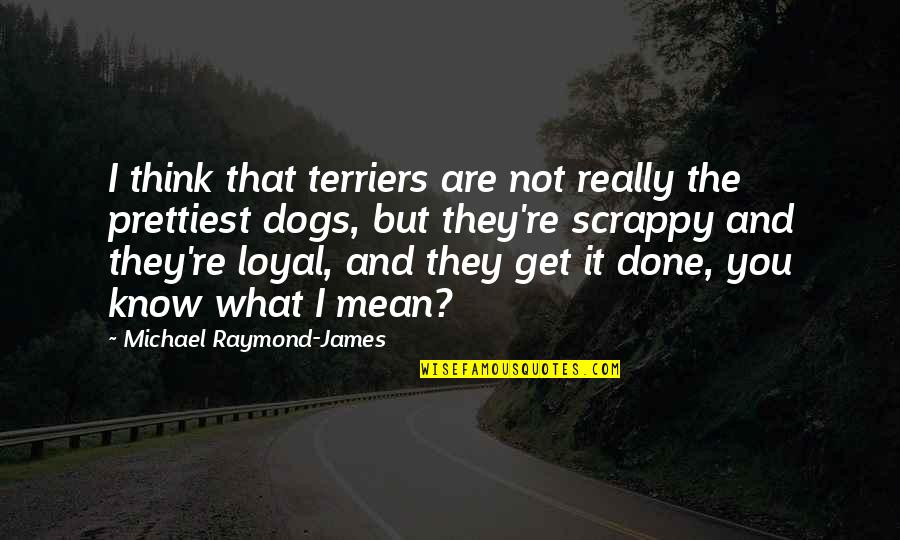 Get It Done Quotes By Michael Raymond-James: I think that terriers are not really the