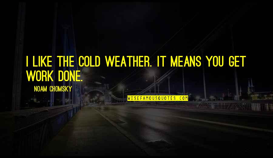 Get It Done Quotes By Noam Chomsky: I like the cold weather. It means you