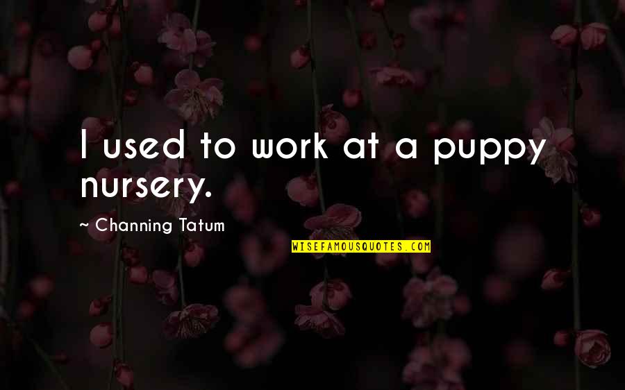 Get Me Through My Day Quotes By Channing Tatum: I used to work at a puppy nursery.