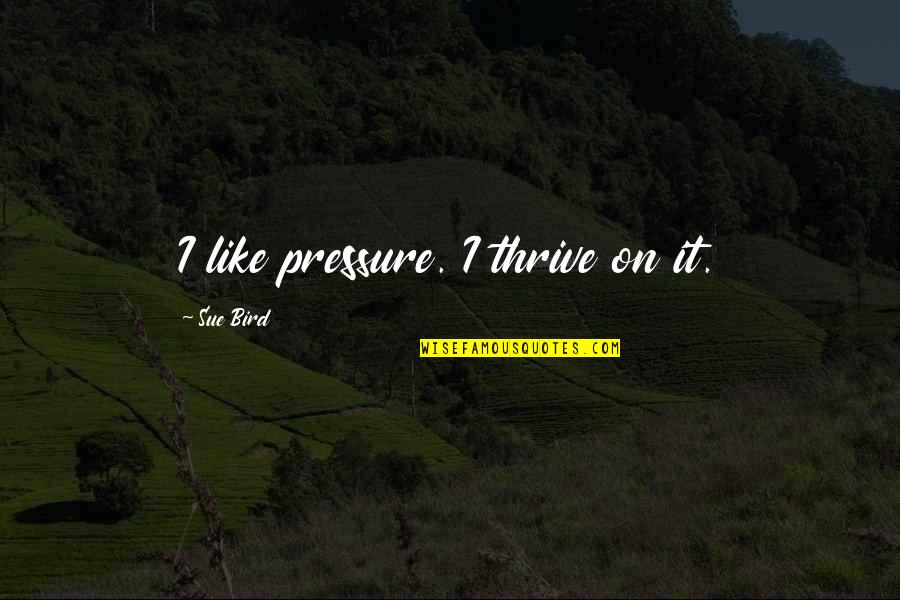 Get Off My Lawn Quote Quotes By Sue Bird: I like pressure. I thrive on it.
