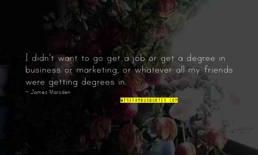 Get Out My Business Quotes By James Marsden: I didn't want to go get a job