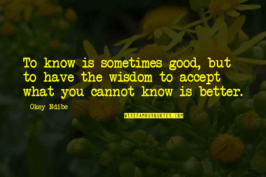 Get Pumped Quotes By Okey Ndibe: To know is sometimes good, but to have
