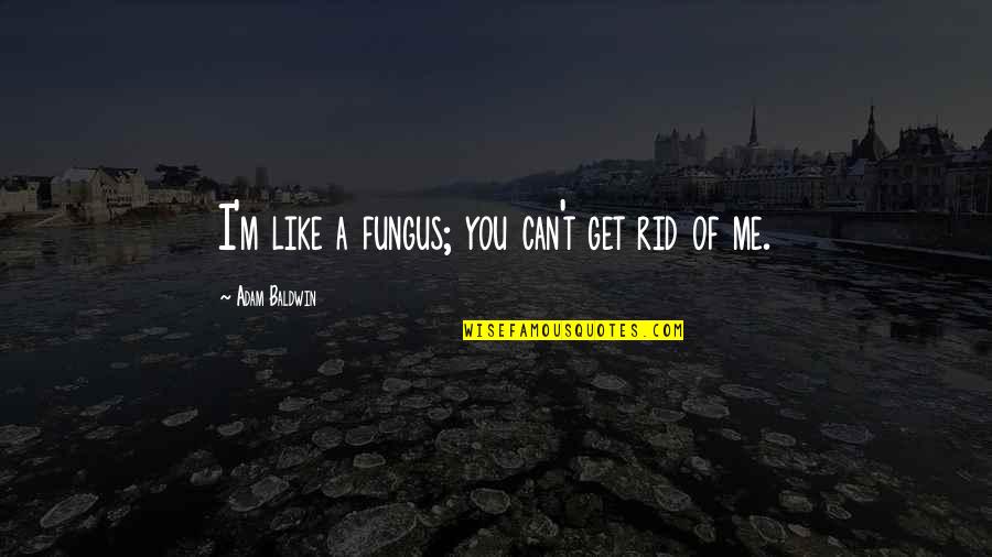 Get Rid Of Me Quotes By Adam Baldwin: I'm like a fungus; you can't get rid
