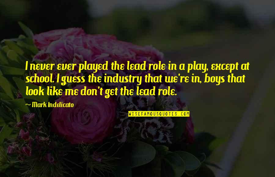 Get The Lead Out Quotes By Mark Indelicato: I never ever played the lead role in