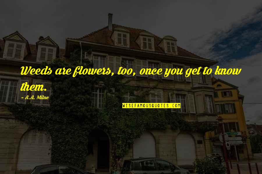 Get To Know You Quotes By A.A. Milne: Weeds are flowers, too, once you get to