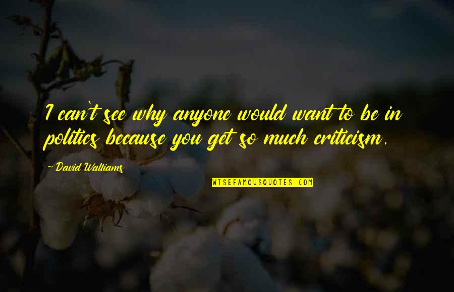 Get To See You Quotes By David Walliams: I can't see why anyone would want to
