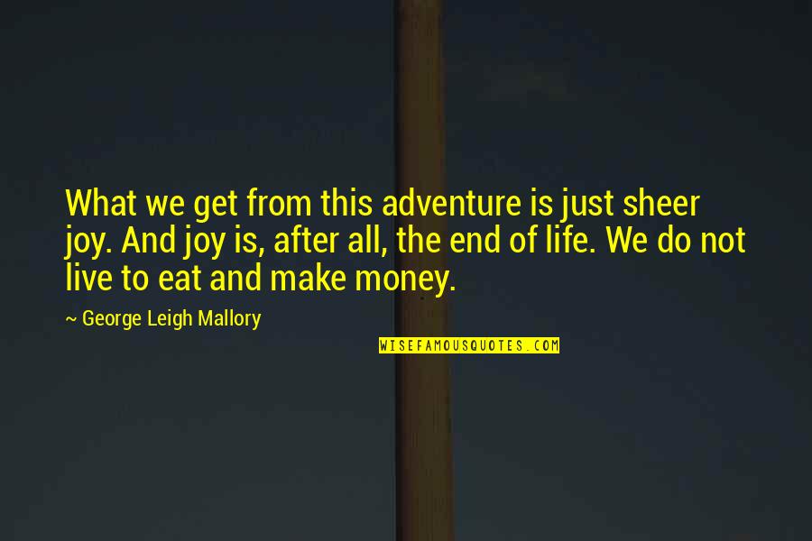 Get To The Money Quotes By George Leigh Mallory: What we get from this adventure is just