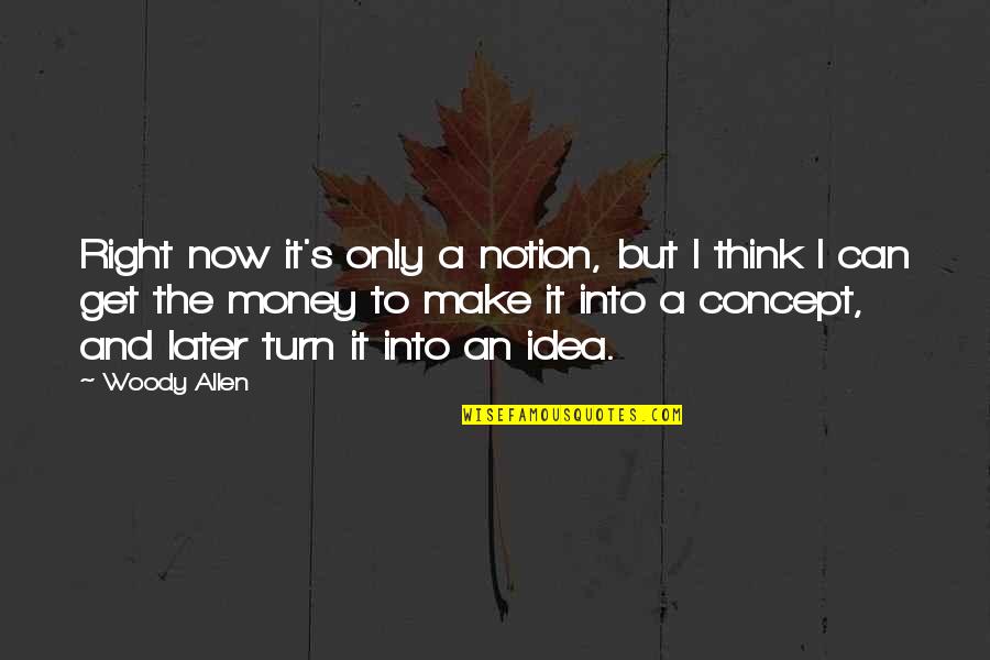 Get To The Money Quotes By Woody Allen: Right now it's only a notion, but I