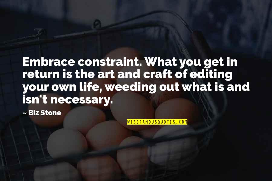 Get Your Own Life Quotes By Biz Stone: Embrace constraint. What you get in return is