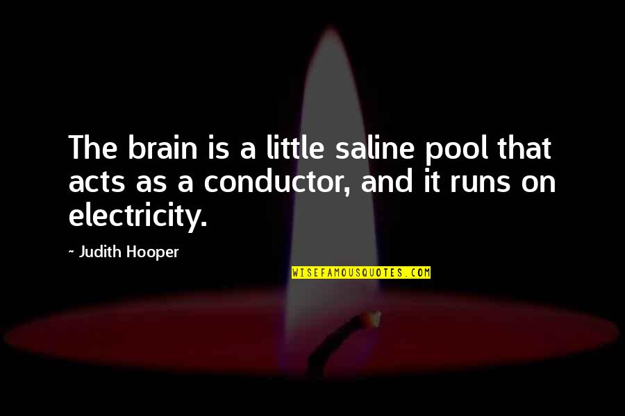 Gets Easier Everyday Quotes By Judith Hooper: The brain is a little saline pool that