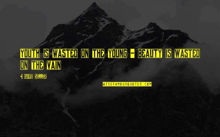 Gettare Quotes By David Seller: Youth is wasted on the young - beauty Gettare Quotes By David Seller: Youth is wasted on the young - beauty