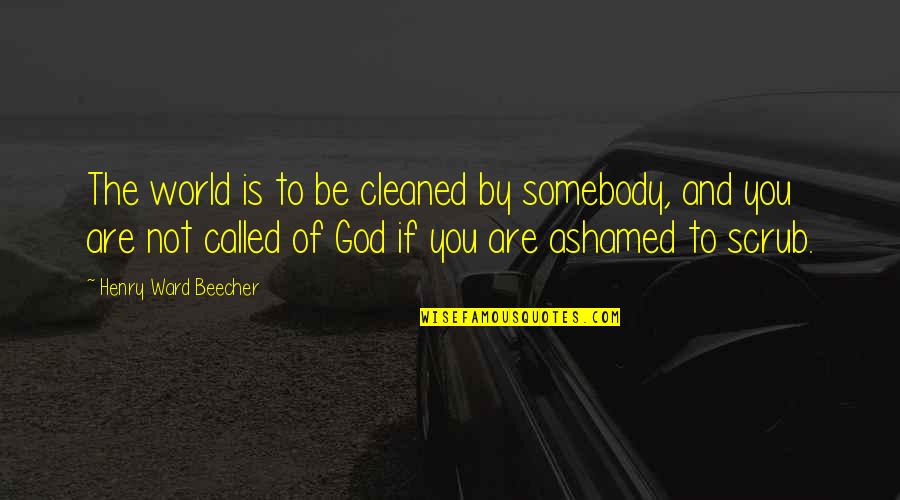 Getting A Bad Grade Quotes By Henry Ward Beecher: The world is to be cleaned by somebody,