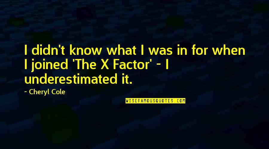 Getting Back Lost Love Quotes By Cheryl Cole: I didn't know what I was in for