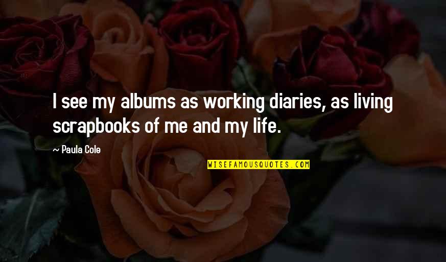 Getting Back Together With Your True Love Quotes By Paula Cole: I see my albums as working diaries, as