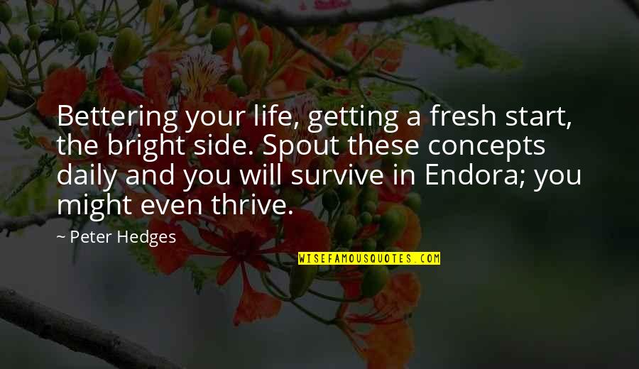 Getting By In Life Quotes By Peter Hedges: Bettering your life, getting a fresh start, the