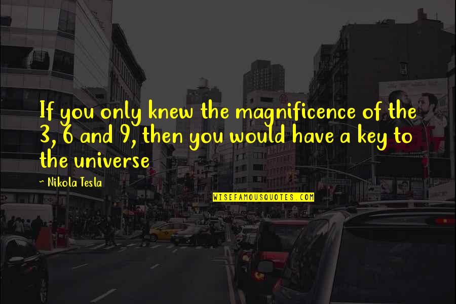 Getting Closer To Your Dreams Quotes By Nikola Tesla: If you only knew the magnificence of the