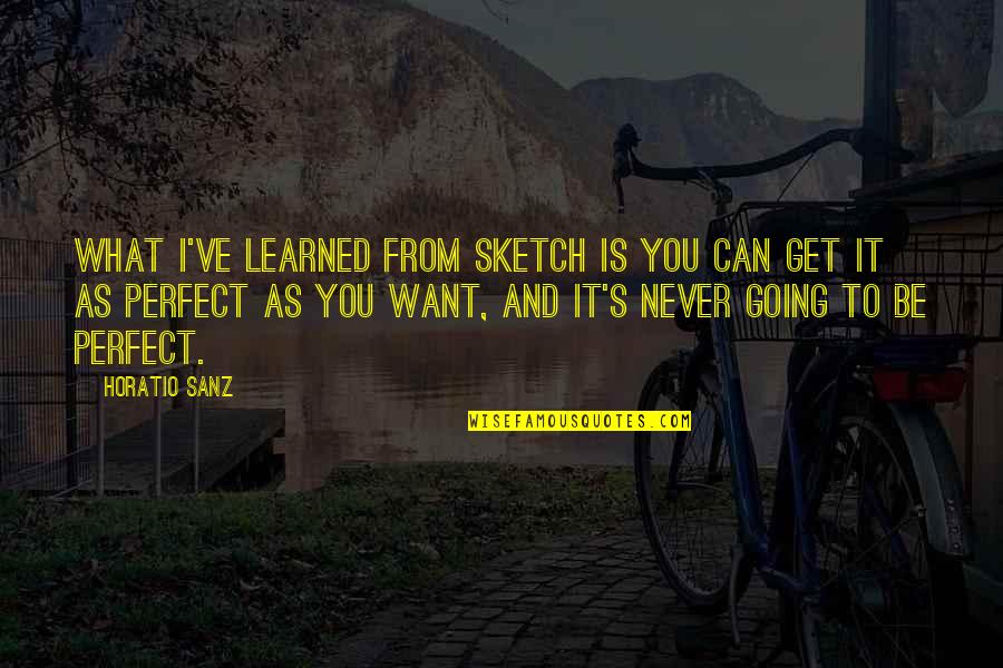 Getting Committed Quotes By Horatio Sanz: What I've learned from sketch is you can