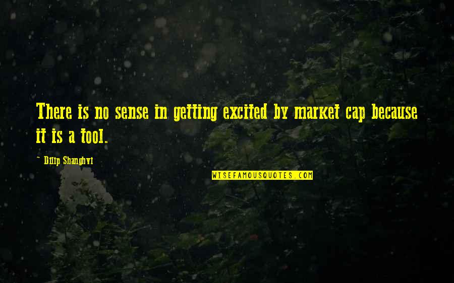 Getting Excited Quotes By Dilip Shanghvi: There is no sense in getting excited by