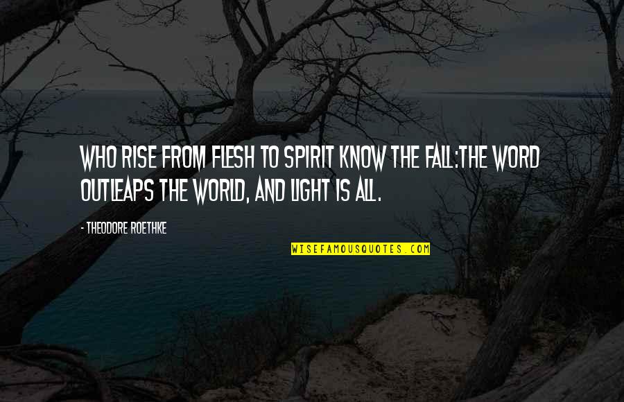 Getting Hurt But Moving On Quotes By Theodore Roethke: Who rise from flesh to spirit know the